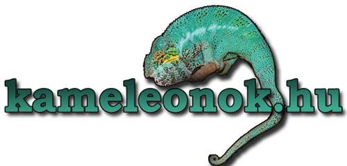Kaméleonok.hu - Chameleon Camp